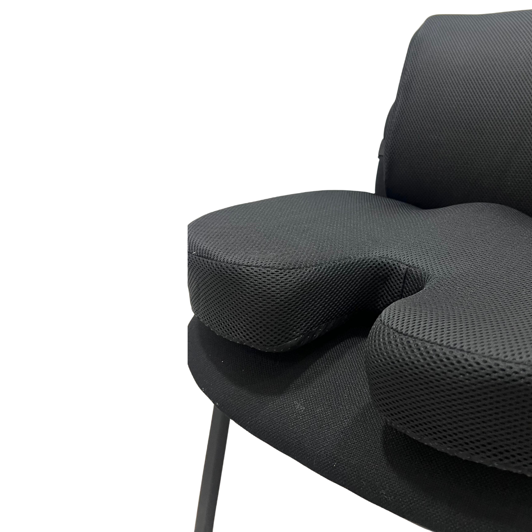 Lumbar Support Pillow for office
